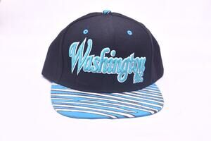 Washington DC Snapback Hat Black Blue Striped Flat Bill Cap City Hunter